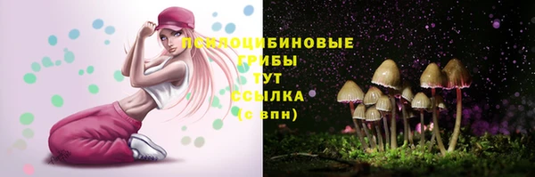 молекула духа Абинск