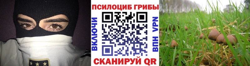 Галлюциногенные грибы ЛСД  цена наркотик  OMG маркетплейс  Фатеж 